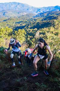 BIB: 5473
                            <button type="button" onclick="openModal(19361920)" class="btn btn-primary btn-sm float-right btn-popup" data-toggle="modal" data-target=".modal-high-quality">
                        <i class="fas fa-shopping-cart"></i> Add to Cart
                    </button>
                                            <button type="button" onclick="isThisMe(19361920, true)" class="btn btn-success btn-sm float-right btn-popup btn-isme hidden" data-toggle="tooltip" data-placement="bottom" title="นี่คือรูปของคุณใช่ไหม คลิกที่นี่เพื่อเอาเข้าอัลบั้ม">
                        <i class="fas fa-plus"></i> Add to album
                    </button>
                    <button type="button" onclick="isThisMe(19361920, false)" class="btn btn-warning btn-sm float-right btn-popup btn-isnotme hidden">
                        <i class="fas fa-ban"></i> Remove from album
                    </button>