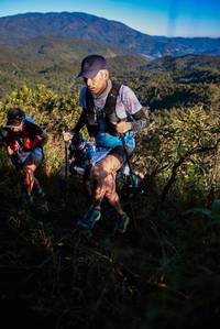 BIB: 
                            <button type="button" onclick="openModal(19362748)" class="btn btn-primary btn-sm float-right btn-popup" data-toggle="modal" data-target=".modal-high-quality">
                        <i class="fas fa-shopping-cart"></i> Add to Cart
                    </button>
                                            <button type="button" onclick="isThisMe(19362748, true)" class="btn btn-success btn-sm float-right btn-popup btn-isme hidden" data-toggle="tooltip" data-placement="bottom" title="นี่คือรูปของคุณใช่ไหม คลิกที่นี่เพื่อเอาเข้าอัลบั้ม">
                        <i class="fas fa-plus"></i> Add to album
                    </button>
                    <button type="button" onclick="isThisMe(19362748, false)" class="btn btn-warning btn-sm float-right btn-popup btn-isnotme hidden">
                        <i class="fas fa-ban"></i> Remove from album
                    </button>