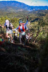 BIB: 
                            <button type="button" onclick="openModal(19364100)" class="btn btn-primary btn-sm float-right btn-popup" data-toggle="modal" data-target=".modal-high-quality">
                        <i class="fas fa-shopping-cart"></i> Add to Cart
                    </button>
                                            <button type="button" onclick="isThisMe(19364100, true)" class="btn btn-success btn-sm float-right btn-popup btn-isme hidden" data-toggle="tooltip" data-placement="bottom" title="นี่คือรูปของคุณใช่ไหม คลิกที่นี่เพื่อเอาเข้าอัลบั้ม">
                        <i class="fas fa-plus"></i> Add to album
                    </button>
                    <button type="button" onclick="isThisMe(19364100, false)" class="btn btn-warning btn-sm float-right btn-popup btn-isnotme hidden">
                        <i class="fas fa-ban"></i> Remove from album
                    </button>