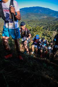 BIB: 02218, 5979
                            <button type="button" onclick="openModal(19363942)" class="btn btn-primary btn-sm float-right btn-popup" data-toggle="modal" data-target=".modal-high-quality">
                        <i class="fas fa-shopping-cart"></i> Add to Cart
                    </button>
                                            <button type="button" onclick="isThisMe(19363942, true)" class="btn btn-success btn-sm float-right btn-popup btn-isme hidden" data-toggle="tooltip" data-placement="bottom" title="นี่คือรูปของคุณใช่ไหม คลิกที่นี่เพื่อเอาเข้าอัลบั้ม">
                        <i class="fas fa-plus"></i> Add to album
                    </button>
                    <button type="button" onclick="isThisMe(19363942, false)" class="btn btn-warning btn-sm float-right btn-popup btn-isnotme hidden">
                        <i class="fas fa-ban"></i> Remove from album
                    </button>