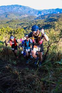 BIB: 
                            <button type="button" onclick="openModal(19362629)" class="btn btn-primary btn-sm float-right btn-popup" data-toggle="modal" data-target=".modal-high-quality">
                        <i class="fas fa-shopping-cart"></i> Add to Cart
                    </button>
                                            <button type="button" onclick="isThisMe(19362629, true)" class="btn btn-success btn-sm float-right btn-popup btn-isme hidden" data-toggle="tooltip" data-placement="bottom" title="นี่คือรูปของคุณใช่ไหม คลิกที่นี่เพื่อเอาเข้าอัลบั้ม">
                        <i class="fas fa-plus"></i> Add to album
                    </button>
                    <button type="button" onclick="isThisMe(19362629, false)" class="btn btn-warning btn-sm float-right btn-popup btn-isnotme hidden">
                        <i class="fas fa-ban"></i> Remove from album
                    </button>