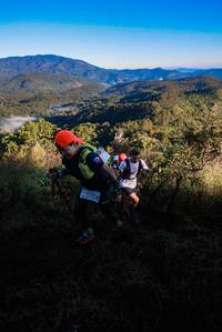 BIB: 6532, 
                            <button type="button" onclick="openModal(19361785)" class="btn btn-primary btn-sm float-right btn-popup" data-toggle="modal" data-target=".modal-high-quality">
                        <i class="fas fa-shopping-cart"></i> Add to Cart
                    </button>
                                            <button type="button" onclick="isThisMe(19361785, true)" class="btn btn-success btn-sm float-right btn-popup btn-isme hidden" data-toggle="tooltip" data-placement="bottom" title="นี่คือรูปของคุณใช่ไหม คลิกที่นี่เพื่อเอาเข้าอัลบั้ม">
                        <i class="fas fa-plus"></i> Add to album
                    </button>
                    <button type="button" onclick="isThisMe(19361785, false)" class="btn btn-warning btn-sm float-right btn-popup btn-isnotme hidden">
                        <i class="fas fa-ban"></i> Remove from album
                    </button>