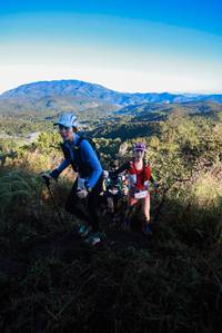 BIB: 
                            <button type="button" onclick="openModal(19362174)" class="btn btn-primary btn-sm float-right btn-popup" data-toggle="modal" data-target=".modal-high-quality">
                        <i class="fas fa-shopping-cart"></i> Add to Cart
                    </button>
                                            <button type="button" onclick="isThisMe(19362174, true)" class="btn btn-success btn-sm float-right btn-popup btn-isme hidden" data-toggle="tooltip" data-placement="bottom" title="นี่คือรูปของคุณใช่ไหม คลิกที่นี่เพื่อเอาเข้าอัลบั้ม">
                        <i class="fas fa-plus"></i> Add to album
                    </button>
                    <button type="button" onclick="isThisMe(19362174, false)" class="btn btn-warning btn-sm float-right btn-popup btn-isnotme hidden">
                        <i class="fas fa-ban"></i> Remove from album
                    </button>