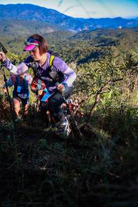 BIB: 
                            <button type="button" onclick="openModal(19363433)" class="btn btn-primary btn-sm float-right btn-popup" data-toggle="modal" data-target=".modal-high-quality">
                        <i class="fas fa-shopping-cart"></i> Add to Cart
                    </button>
                                            <button type="button" onclick="isThisMe(19363433, true)" class="btn btn-success btn-sm float-right btn-popup btn-isme hidden" data-toggle="tooltip" data-placement="bottom" title="นี่คือรูปของคุณใช่ไหม คลิกที่นี่เพื่อเอาเข้าอัลบั้ม">
                        <i class="fas fa-plus"></i> Add to album
                    </button>
                    <button type="button" onclick="isThisMe(19363433, false)" class="btn btn-warning btn-sm float-right btn-popup btn-isnotme hidden">
                        <i class="fas fa-ban"></i> Remove from album
                    </button>