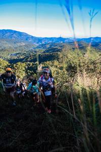 BIB: 
                            <button type="button" onclick="openModal(19361501)" class="btn btn-primary btn-sm float-right btn-popup" data-toggle="modal" data-target=".modal-high-quality">
                        <i class="fas fa-shopping-cart"></i> Add to Cart
                    </button>
                                            <button type="button" onclick="isThisMe(19361501, true)" class="btn btn-success btn-sm float-right btn-popup btn-isme hidden" data-toggle="tooltip" data-placement="bottom" title="นี่คือรูปของคุณใช่ไหม คลิกที่นี่เพื่อเอาเข้าอัลบั้ม">
                        <i class="fas fa-plus"></i> Add to album
                    </button>
                    <button type="button" onclick="isThisMe(19361501, false)" class="btn btn-warning btn-sm float-right btn-popup btn-isnotme hidden">
                        <i class="fas fa-ban"></i> Remove from album
                    </button>