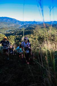 BIB: 
                            <button type="button" onclick="openModal(19361503)" class="btn btn-primary btn-sm float-right btn-popup" data-toggle="modal" data-target=".modal-high-quality">
                        <i class="fas fa-shopping-cart"></i> Add to Cart
                    </button>
                                            <button type="button" onclick="isThisMe(19361503, true)" class="btn btn-success btn-sm float-right btn-popup btn-isme hidden" data-toggle="tooltip" data-placement="bottom" title="นี่คือรูปของคุณใช่ไหม คลิกที่นี่เพื่อเอาเข้าอัลบั้ม">
                        <i class="fas fa-plus"></i> Add to album
                    </button>
                    <button type="button" onclick="isThisMe(19361503, false)" class="btn btn-warning btn-sm float-right btn-popup btn-isnotme hidden">
                        <i class="fas fa-ban"></i> Remove from album
                    </button>