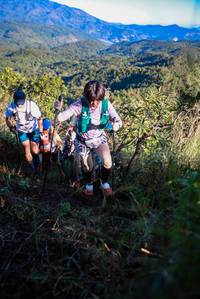 BIB: 
                            <button type="button" onclick="openModal(19362981)" class="btn btn-primary btn-sm float-right btn-popup" data-toggle="modal" data-target=".modal-high-quality">
                        <i class="fas fa-shopping-cart"></i> Add to Cart
                    </button>
                                            <button type="button" onclick="isThisMe(19362981, true)" class="btn btn-success btn-sm float-right btn-popup btn-isme hidden" data-toggle="tooltip" data-placement="bottom" title="นี่คือรูปของคุณใช่ไหม คลิกที่นี่เพื่อเอาเข้าอัลบั้ม">
                        <i class="fas fa-plus"></i> Add to album
                    </button>
                    <button type="button" onclick="isThisMe(19362981, false)" class="btn btn-warning btn-sm float-right btn-popup btn-isnotme hidden">
                        <i class="fas fa-ban"></i> Remove from album
                    </button>