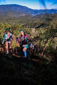 BIB: 
                            <button type="button" onclick="openModal(19364281)" class="btn btn-primary btn-sm float-right btn-popup" data-toggle="modal" data-target=".modal-high-quality">
                        <i class="fas fa-shopping-cart"></i> Add to Cart
                    </button>
                                            <button type="button" onclick="isThisMe(19364281, true)" class="btn btn-success btn-sm float-right btn-popup btn-isme hidden" data-toggle="tooltip" data-placement="bottom" title="นี่คือรูปของคุณใช่ไหม คลิกที่นี่เพื่อเอาเข้าอัลบั้ม">
                        <i class="fas fa-plus"></i> Add to album
                    </button>
                    <button type="button" onclick="isThisMe(19364281, false)" class="btn btn-warning btn-sm float-right btn-popup btn-isnotme hidden">
                        <i class="fas fa-ban"></i> Remove from album
                    </button>