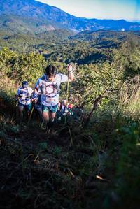 BIB: 
                            <button type="button" onclick="openModal(19362975)" class="btn btn-primary btn-sm float-right btn-popup" data-toggle="modal" data-target=".modal-high-quality">
                        <i class="fas fa-shopping-cart"></i> Add to Cart
                    </button>
                                            <button type="button" onclick="isThisMe(19362975, true)" class="btn btn-success btn-sm float-right btn-popup btn-isme hidden" data-toggle="tooltip" data-placement="bottom" title="นี่คือรูปของคุณใช่ไหม คลิกที่นี่เพื่อเอาเข้าอัลบั้ม">
                        <i class="fas fa-plus"></i> Add to album
                    </button>
                    <button type="button" onclick="isThisMe(19362975, false)" class="btn btn-warning btn-sm float-right btn-popup btn-isnotme hidden">
                        <i class="fas fa-ban"></i> Remove from album
                    </button>