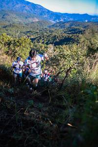 BIB: 
                            <button type="button" onclick="openModal(19362974)" class="btn btn-primary btn-sm float-right btn-popup" data-toggle="modal" data-target=".modal-high-quality">
                        <i class="fas fa-shopping-cart"></i> Add to Cart
                    </button>
                                            <button type="button" onclick="isThisMe(19362974, true)" class="btn btn-success btn-sm float-right btn-popup btn-isme hidden" data-toggle="tooltip" data-placement="bottom" title="นี่คือรูปของคุณใช่ไหม คลิกที่นี่เพื่อเอาเข้าอัลบั้ม">
                        <i class="fas fa-plus"></i> Add to album
                    </button>
                    <button type="button" onclick="isThisMe(19362974, false)" class="btn btn-warning btn-sm float-right btn-popup btn-isnotme hidden">
                        <i class="fas fa-ban"></i> Remove from album
                    </button>