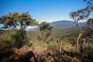 BIB: 
                            <button type="button" onclick="openModal(19364643)" class="btn btn-primary btn-sm float-right btn-popup" data-toggle="modal" data-target=".modal-high-quality">
                        <i class="fas fa-shopping-cart"></i> Add to Cart
                    </button>
                                            <button type="button" onclick="isThisMe(19364643, true)" class="btn btn-success btn-sm float-right btn-popup btn-isme hidden" data-toggle="tooltip" data-placement="bottom" title="นี่คือรูปของคุณใช่ไหม คลิกที่นี่เพื่อเอาเข้าอัลบั้ม">
                        <i class="fas fa-plus"></i> Add to album
                    </button>
                    <button type="button" onclick="isThisMe(19364643, false)" class="btn btn-warning btn-sm float-right btn-popup btn-isnotme hidden">
                        <i class="fas fa-ban"></i> Remove from album
                    </button>