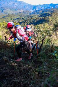 BIB: 
                            <button type="button" onclick="openModal(19362616)" class="btn btn-primary btn-sm float-right btn-popup" data-toggle="modal" data-target=".modal-high-quality">
                        <i class="fas fa-shopping-cart"></i> Add to Cart
                    </button>
                                            <button type="button" onclick="isThisMe(19362616, true)" class="btn btn-success btn-sm float-right btn-popup btn-isme hidden" data-toggle="tooltip" data-placement="bottom" title="นี่คือรูปของคุณใช่ไหม คลิกที่นี่เพื่อเอาเข้าอัลบั้ม">
                        <i class="fas fa-plus"></i> Add to album
                    </button>
                    <button type="button" onclick="isThisMe(19362616, false)" class="btn btn-warning btn-sm float-right btn-popup btn-isnotme hidden">
                        <i class="fas fa-ban"></i> Remove from album
                    </button>