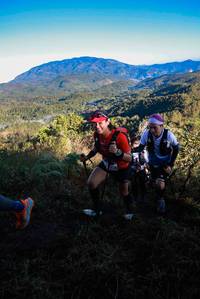 BIB: 
                            <button type="button" onclick="openModal(19361559)" class="btn btn-primary btn-sm float-right btn-popup" data-toggle="modal" data-target=".modal-high-quality">
                        <i class="fas fa-shopping-cart"></i> Add to Cart
                    </button>
                                            <button type="button" onclick="isThisMe(19361559, true)" class="btn btn-success btn-sm float-right btn-popup btn-isme hidden" data-toggle="tooltip" data-placement="bottom" title="นี่คือรูปของคุณใช่ไหม คลิกที่นี่เพื่อเอาเข้าอัลบั้ม">
                        <i class="fas fa-plus"></i> Add to album
                    </button>
                    <button type="button" onclick="isThisMe(19361559, false)" class="btn btn-warning btn-sm float-right btn-popup btn-isnotme hidden">
                        <i class="fas fa-ban"></i> Remove from album
                    </button>