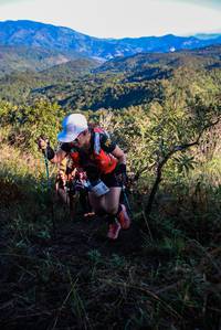 BIB: 
                            <button type="button" onclick="openModal(19362305)" class="btn btn-primary btn-sm float-right btn-popup" data-toggle="modal" data-target=".modal-high-quality">
                        <i class="fas fa-shopping-cart"></i> Add to Cart
                    </button>
                                            <button type="button" onclick="isThisMe(19362305, true)" class="btn btn-success btn-sm float-right btn-popup btn-isme hidden" data-toggle="tooltip" data-placement="bottom" title="นี่คือรูปของคุณใช่ไหม คลิกที่นี่เพื่อเอาเข้าอัลบั้ม">
                        <i class="fas fa-plus"></i> Add to album
                    </button>
                    <button type="button" onclick="isThisMe(19362305, false)" class="btn btn-warning btn-sm float-right btn-popup btn-isnotme hidden">
                        <i class="fas fa-ban"></i> Remove from album
                    </button>