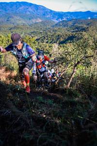 BIB: 
                            <button type="button" onclick="openModal(19363792)" class="btn btn-primary btn-sm float-right btn-popup" data-toggle="modal" data-target=".modal-high-quality">
                        <i class="fas fa-shopping-cart"></i> Add to Cart
                    </button>
                                            <button type="button" onclick="isThisMe(19363792, true)" class="btn btn-success btn-sm float-right btn-popup btn-isme hidden" data-toggle="tooltip" data-placement="bottom" title="นี่คือรูปของคุณใช่ไหม คลิกที่นี่เพื่อเอาเข้าอัลบั้ม">
                        <i class="fas fa-plus"></i> Add to album
                    </button>
                    <button type="button" onclick="isThisMe(19363792, false)" class="btn btn-warning btn-sm float-right btn-popup btn-isnotme hidden">
                        <i class="fas fa-ban"></i> Remove from album
                    </button>