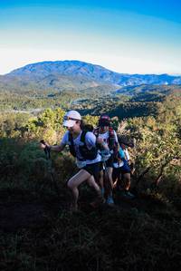 BIB: 
                            <button type="button" onclick="openModal(19361400)" class="btn btn-primary btn-sm float-right btn-popup" data-toggle="modal" data-target=".modal-high-quality">
                        <i class="fas fa-shopping-cart"></i> Add to Cart
                    </button>
                                            <button type="button" onclick="isThisMe(19361400, true)" class="btn btn-success btn-sm float-right btn-popup btn-isme hidden" data-toggle="tooltip" data-placement="bottom" title="นี่คือรูปของคุณใช่ไหม คลิกที่นี่เพื่อเอาเข้าอัลบั้ม">
                        <i class="fas fa-plus"></i> Add to album
                    </button>
                    <button type="button" onclick="isThisMe(19361400, false)" class="btn btn-warning btn-sm float-right btn-popup btn-isnotme hidden">
                        <i class="fas fa-ban"></i> Remove from album
                    </button>