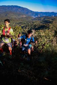 BIB: 101
                            <button type="button" onclick="openModal(19363033)" class="btn btn-primary btn-sm float-right btn-popup" data-toggle="modal" data-target=".modal-high-quality">
                        <i class="fas fa-shopping-cart"></i> Add to Cart
                    </button>
                                            <button type="button" onclick="isThisMe(19363033, true)" class="btn btn-success btn-sm float-right btn-popup btn-isme hidden" data-toggle="tooltip" data-placement="bottom" title="นี่คือรูปของคุณใช่ไหม คลิกที่นี่เพื่อเอาเข้าอัลบั้ม">
                        <i class="fas fa-plus"></i> Add to album
                    </button>
                    <button type="button" onclick="isThisMe(19363033, false)" class="btn btn-warning btn-sm float-right btn-popup btn-isnotme hidden">
                        <i class="fas fa-ban"></i> Remove from album
                    </button>