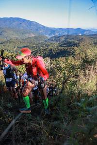 BIB: 
                            <button type="button" onclick="openModal(19082444)" class="btn btn-primary btn-sm float-right btn-popup" data-toggle="modal" data-target=".modal-high-quality">
                        <i class="fas fa-shopping-cart"></i> Add to Cart
                    </button>
                                            <button type="button" onclick="isThisMe(19082444, true)" class="btn btn-success btn-sm float-right btn-popup btn-isme hidden" data-toggle="tooltip" data-placement="bottom" title="นี่คือรูปของคุณใช่ไหม คลิกที่นี่เพื่อเอาเข้าอัลบั้ม">
                        <i class="fas fa-plus"></i> Add to album
                    </button>
                    <button type="button" onclick="isThisMe(19082444, false)" class="btn btn-warning btn-sm float-right btn-popup btn-isnotme hidden">
                        <i class="fas fa-ban"></i> Remove from album
                    </button>