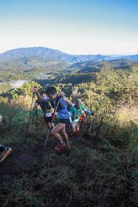 BIB: 
                            <button type="button" onclick="openModal(19066049)" class="btn btn-primary btn-sm float-right btn-popup" data-toggle="modal" data-target=".modal-high-quality">
                        <i class="fas fa-shopping-cart"></i> Add to Cart
                    </button>
                                            <button type="button" onclick="isThisMe(19066049, true)" class="btn btn-success btn-sm float-right btn-popup btn-isme hidden" data-toggle="tooltip" data-placement="bottom" title="นี่คือรูปของคุณใช่ไหม คลิกที่นี่เพื่อเอาเข้าอัลบั้ม">
                        <i class="fas fa-plus"></i> Add to album
                    </button>
                    <button type="button" onclick="isThisMe(19066049, false)" class="btn btn-warning btn-sm float-right btn-popup btn-isnotme hidden">
                        <i class="fas fa-ban"></i> Remove from album
                    </button>