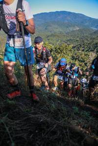 BIB: 02218, 5979
                            <button type="button" onclick="openModal(19102866)" class="btn btn-primary btn-sm float-right btn-popup" data-toggle="modal" data-target=".modal-high-quality">
                        <i class="fas fa-shopping-cart"></i> Add to Cart
                    </button>
                                            <button type="button" onclick="isThisMe(19102866, true)" class="btn btn-success btn-sm float-right btn-popup btn-isme hidden" data-toggle="tooltip" data-placement="bottom" title="นี่คือรูปของคุณใช่ไหม คลิกที่นี่เพื่อเอาเข้าอัลบั้ม">
                        <i class="fas fa-plus"></i> Add to album
                    </button>
                    <button type="button" onclick="isThisMe(19102866, false)" class="btn btn-warning btn-sm float-right btn-popup btn-isnotme hidden">
                        <i class="fas fa-ban"></i> Remove from album
                    </button>