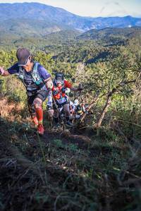 BIB: 
                            <button type="button" onclick="openModal(19100041)" class="btn btn-primary btn-sm float-right btn-popup" data-toggle="modal" data-target=".modal-high-quality">
                        <i class="fas fa-shopping-cart"></i> Add to Cart
                    </button>
                                            <button type="button" onclick="isThisMe(19100041, true)" class="btn btn-success btn-sm float-right btn-popup btn-isme hidden" data-toggle="tooltip" data-placement="bottom" title="นี่คือรูปของคุณใช่ไหม คลิกที่นี่เพื่อเอาเข้าอัลบั้ม">
                        <i class="fas fa-plus"></i> Add to album
                    </button>
                    <button type="button" onclick="isThisMe(19100041, false)" class="btn btn-warning btn-sm float-right btn-popup btn-isnotme hidden">
                        <i class="fas fa-ban"></i> Remove from album
                    </button>