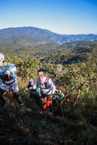 BIB: 1965
                            <button type="button" onclick="openModal(19089414)" class="btn btn-primary btn-sm float-right btn-popup" data-toggle="modal" data-target=".modal-high-quality">
                        <i class="fas fa-shopping-cart"></i> Add to Cart
                    </button>
                                            <button type="button" onclick="isThisMe(19089414, true)" class="btn btn-success btn-sm float-right btn-popup btn-isme hidden" data-toggle="tooltip" data-placement="bottom" title="นี่คือรูปของคุณใช่ไหม คลิกที่นี่เพื่อเอาเข้าอัลบั้ม">
                        <i class="fas fa-plus"></i> Add to album
                    </button>
                    <button type="button" onclick="isThisMe(19089414, false)" class="btn btn-warning btn-sm float-right btn-popup btn-isnotme hidden">
                        <i class="fas fa-ban"></i> Remove from album
                    </button>