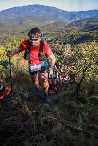 BIB: 5294
                            <button type="button" onclick="openModal(19085463)" class="btn btn-primary btn-sm float-right btn-popup" data-toggle="modal" data-target=".modal-high-quality">
                        <i class="fas fa-shopping-cart"></i> Add to Cart
                    </button>
                                            <button type="button" onclick="isThisMe(19085463, true)" class="btn btn-success btn-sm float-right btn-popup btn-isme hidden" data-toggle="tooltip" data-placement="bottom" title="นี่คือรูปของคุณใช่ไหม คลิกที่นี่เพื่อเอาเข้าอัลบั้ม">
                        <i class="fas fa-plus"></i> Add to album
                    </button>
                    <button type="button" onclick="isThisMe(19085463, false)" class="btn btn-warning btn-sm float-right btn-popup btn-isnotme hidden">
                        <i class="fas fa-ban"></i> Remove from album
                    </button>