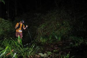 BIB: 
                            <button type="button" onclick="openModal(19027625)" class="btn btn-primary btn-sm float-right btn-popup" data-toggle="modal" data-target=".modal-high-quality">
                        <i class="fas fa-shopping-cart"></i> Add to Cart
                    </button>
                                            <button type="button" onclick="isThisMe(19027625, true)" class="btn btn-success btn-sm float-right btn-popup btn-isme hidden" data-toggle="tooltip" data-placement="bottom" title="นี่คือรูปของคุณใช่ไหม คลิกที่นี่เพื่อเอาเข้าอัลบั้ม">
                        <i class="fas fa-plus"></i> Add to album
                    </button>
                    <button type="button" onclick="isThisMe(19027625, false)" class="btn btn-warning btn-sm float-right btn-popup btn-isnotme hidden">
                        <i class="fas fa-ban"></i> Remove from album
                    </button>