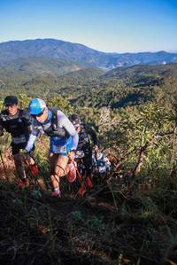 BIB: 3155
                            <button type="button" onclick="openModal(19090413)" class="btn btn-primary btn-sm float-right btn-popup" data-toggle="modal" data-target=".modal-high-quality">
                        <i class="fas fa-shopping-cart"></i> Add to Cart
                    </button>
                                            <button type="button" onclick="isThisMe(19090413, true)" class="btn btn-success btn-sm float-right btn-popup btn-isme hidden" data-toggle="tooltip" data-placement="bottom" title="นี่คือรูปของคุณใช่ไหม คลิกที่นี่เพื่อเอาเข้าอัลบั้ม">
                        <i class="fas fa-plus"></i> Add to album
                    </button>
                    <button type="button" onclick="isThisMe(19090413, false)" class="btn btn-warning btn-sm float-right btn-popup btn-isnotme hidden">
                        <i class="fas fa-ban"></i> Remove from album
                    </button>