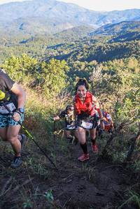 BIB: 
                            <button type="button" onclick="openModal(19077165)" class="btn btn-primary btn-sm float-right btn-popup" data-toggle="modal" data-target=".modal-high-quality">
                        <i class="fas fa-shopping-cart"></i> Add to Cart
                    </button>
                                            <button type="button" onclick="isThisMe(19077165, true)" class="btn btn-success btn-sm float-right btn-popup btn-isme hidden" data-toggle="tooltip" data-placement="bottom" title="นี่คือรูปของคุณใช่ไหม คลิกที่นี่เพื่อเอาเข้าอัลบั้ม">
                        <i class="fas fa-plus"></i> Add to album
                    </button>
                    <button type="button" onclick="isThisMe(19077165, false)" class="btn btn-warning btn-sm float-right btn-popup btn-isnotme hidden">
                        <i class="fas fa-ban"></i> Remove from album
                    </button>