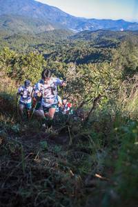 BIB: 
                            <button type="button" onclick="openModal(19086283)" class="btn btn-primary btn-sm float-right btn-popup" data-toggle="modal" data-target=".modal-high-quality">
                        <i class="fas fa-shopping-cart"></i> Add to Cart
                    </button>
                                            <button type="button" onclick="isThisMe(19086283, true)" class="btn btn-success btn-sm float-right btn-popup btn-isme hidden" data-toggle="tooltip" data-placement="bottom" title="นี่คือรูปของคุณใช่ไหม คลิกที่นี่เพื่อเอาเข้าอัลบั้ม">
                        <i class="fas fa-plus"></i> Add to album
                    </button>
                    <button type="button" onclick="isThisMe(19086283, false)" class="btn btn-warning btn-sm float-right btn-popup btn-isnotme hidden">
                        <i class="fas fa-ban"></i> Remove from album
                    </button>