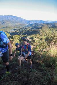 BIB: 
                            <button type="button" onclick="openModal(19068185)" class="btn btn-primary btn-sm float-right btn-popup" data-toggle="modal" data-target=".modal-high-quality">
                        <i class="fas fa-shopping-cart"></i> Add to Cart
                    </button>
                                            <button type="button" onclick="isThisMe(19068185, true)" class="btn btn-success btn-sm float-right btn-popup btn-isme hidden" data-toggle="tooltip" data-placement="bottom" title="นี่คือรูปของคุณใช่ไหม คลิกที่นี่เพื่อเอาเข้าอัลบั้ม">
                        <i class="fas fa-plus"></i> Add to album
                    </button>
                    <button type="button" onclick="isThisMe(19068185, false)" class="btn btn-warning btn-sm float-right btn-popup btn-isnotme hidden">
                        <i class="fas fa-ban"></i> Remove from album
                    </button>