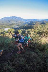 BIB: 
                            <button type="button" onclick="openModal(19066050)" class="btn btn-primary btn-sm float-right btn-popup" data-toggle="modal" data-target=".modal-high-quality">
                        <i class="fas fa-shopping-cart"></i> Add to Cart
                    </button>
                                            <button type="button" onclick="isThisMe(19066050, true)" class="btn btn-success btn-sm float-right btn-popup btn-isme hidden" data-toggle="tooltip" data-placement="bottom" title="นี่คือรูปของคุณใช่ไหม คลิกที่นี่เพื่อเอาเข้าอัลบั้ม">
                        <i class="fas fa-plus"></i> Add to album
                    </button>
                    <button type="button" onclick="isThisMe(19066050, false)" class="btn btn-warning btn-sm float-right btn-popup btn-isnotme hidden">
                        <i class="fas fa-ban"></i> Remove from album
                    </button>