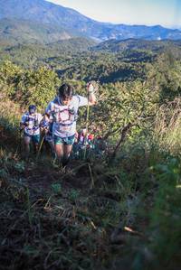 BIB: 
                            <button type="button" onclick="openModal(19086279)" class="btn btn-primary btn-sm float-right btn-popup" data-toggle="modal" data-target=".modal-high-quality">
                        <i class="fas fa-shopping-cart"></i> Add to Cart
                    </button>
                                            <button type="button" onclick="isThisMe(19086279, true)" class="btn btn-success btn-sm float-right btn-popup btn-isme hidden" data-toggle="tooltip" data-placement="bottom" title="นี่คือรูปของคุณใช่ไหม คลิกที่นี่เพื่อเอาเข้าอัลบั้ม">
                        <i class="fas fa-plus"></i> Add to album
                    </button>
                    <button type="button" onclick="isThisMe(19086279, false)" class="btn btn-warning btn-sm float-right btn-popup btn-isnotme hidden">
                        <i class="fas fa-ban"></i> Remove from album
                    </button>