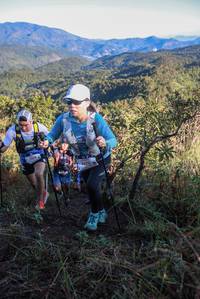 BIB: 
                            <button type="button" onclick="openModal(19079950)" class="btn btn-primary btn-sm float-right btn-popup" data-toggle="modal" data-target=".modal-high-quality">
                        <i class="fas fa-shopping-cart"></i> Add to Cart
                    </button>
                                            <button type="button" onclick="isThisMe(19079950, true)" class="btn btn-success btn-sm float-right btn-popup btn-isme hidden" data-toggle="tooltip" data-placement="bottom" title="นี่คือรูปของคุณใช่ไหม คลิกที่นี่เพื่อเอาเข้าอัลบั้ม">
                        <i class="fas fa-plus"></i> Add to album
                    </button>
                    <button type="button" onclick="isThisMe(19079950, false)" class="btn btn-warning btn-sm float-right btn-popup btn-isnotme hidden">
                        <i class="fas fa-ban"></i> Remove from album
                    </button>