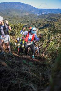 BIB: 
                            <button type="button" onclick="openModal(19103961)" class="btn btn-primary btn-sm float-right btn-popup" data-toggle="modal" data-target=".modal-high-quality">
                        <i class="fas fa-shopping-cart"></i> Add to Cart
                    </button>
                                            <button type="button" onclick="isThisMe(19103961, true)" class="btn btn-success btn-sm float-right btn-popup btn-isme hidden" data-toggle="tooltip" data-placement="bottom" title="นี่คือรูปของคุณใช่ไหม คลิกที่นี่เพื่อเอาเข้าอัลบั้ม">
                        <i class="fas fa-plus"></i> Add to album
                    </button>
                    <button type="button" onclick="isThisMe(19103961, false)" class="btn btn-warning btn-sm float-right btn-popup btn-isnotme hidden">
                        <i class="fas fa-ban"></i> Remove from album
                    </button>