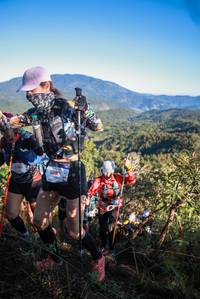 BIB: 1741, 6020
                            <button type="button" onclick="openModal(19089085)" class="btn btn-primary btn-sm float-right btn-popup" data-toggle="modal" data-target=".modal-high-quality">
                        <i class="fas fa-shopping-cart"></i> Add to Cart
                    </button>
                                            <button type="button" onclick="isThisMe(19089085, true)" class="btn btn-success btn-sm float-right btn-popup btn-isme hidden" data-toggle="tooltip" data-placement="bottom" title="นี่คือรูปของคุณใช่ไหม คลิกที่นี่เพื่อเอาเข้าอัลบั้ม">
                        <i class="fas fa-plus"></i> Add to album
                    </button>
                    <button type="button" onclick="isThisMe(19089085, false)" class="btn btn-warning btn-sm float-right btn-popup btn-isnotme hidden">
                        <i class="fas fa-ban"></i> Remove from album
                    </button>