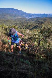 BIB: 
                            <button type="button" onclick="openModal(19109184)" class="btn btn-primary btn-sm float-right btn-popup" data-toggle="modal" data-target=".modal-high-quality">
                        <i class="fas fa-shopping-cart"></i> Add to Cart
                    </button>
                                            <button type="button" onclick="isThisMe(19109184, true)" class="btn btn-success btn-sm float-right btn-popup btn-isme hidden" data-toggle="tooltip" data-placement="bottom" title="นี่คือรูปของคุณใช่ไหม คลิกที่นี่เพื่อเอาเข้าอัลบั้ม">
                        <i class="fas fa-plus"></i> Add to album
                    </button>
                    <button type="button" onclick="isThisMe(19109184, false)" class="btn btn-warning btn-sm float-right btn-popup btn-isnotme hidden">
                        <i class="fas fa-ban"></i> Remove from album
                    </button>