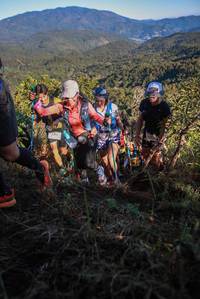 BIB: 
                            <button type="button" onclick="openModal(19096849)" class="btn btn-primary btn-sm float-right btn-popup" data-toggle="modal" data-target=".modal-high-quality">
                        <i class="fas fa-shopping-cart"></i> Add to Cart
                    </button>
                                            <button type="button" onclick="isThisMe(19096849, true)" class="btn btn-success btn-sm float-right btn-popup btn-isme hidden" data-toggle="tooltip" data-placement="bottom" title="นี่คือรูปของคุณใช่ไหม คลิกที่นี่เพื่อเอาเข้าอัลบั้ม">
                        <i class="fas fa-plus"></i> Add to album
                    </button>
                    <button type="button" onclick="isThisMe(19096849, false)" class="btn btn-warning btn-sm float-right btn-popup btn-isnotme hidden">
                        <i class="fas fa-ban"></i> Remove from album
                    </button>