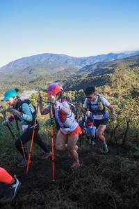 BIB: 
                            <button type="button" onclick="openModal(19065631)" class="btn btn-primary btn-sm float-right btn-popup" data-toggle="modal" data-target=".modal-high-quality">
                        <i class="fas fa-shopping-cart"></i> Add to Cart
                    </button>
                                            <button type="button" onclick="isThisMe(19065631, true)" class="btn btn-success btn-sm float-right btn-popup btn-isme hidden" data-toggle="tooltip" data-placement="bottom" title="นี่คือรูปของคุณใช่ไหม คลิกที่นี่เพื่อเอาเข้าอัลบั้ม">
                        <i class="fas fa-plus"></i> Add to album
                    </button>
                    <button type="button" onclick="isThisMe(19065631, false)" class="btn btn-warning btn-sm float-right btn-popup btn-isnotme hidden">
                        <i class="fas fa-ban"></i> Remove from album
                    </button>