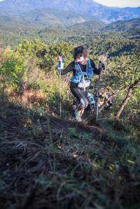 BIB: 
                            <button type="button" onclick="openModal(19098804)" class="btn btn-primary btn-sm float-right btn-popup" data-toggle="modal" data-target=".modal-high-quality">
                        <i class="fas fa-shopping-cart"></i> Add to Cart
                    </button>
                                            <button type="button" onclick="isThisMe(19098804, true)" class="btn btn-success btn-sm float-right btn-popup btn-isme hidden" data-toggle="tooltip" data-placement="bottom" title="นี่คือรูปของคุณใช่ไหม คลิกที่นี่เพื่อเอาเข้าอัลบั้ม">
                        <i class="fas fa-plus"></i> Add to album
                    </button>
                    <button type="button" onclick="isThisMe(19098804, false)" class="btn btn-warning btn-sm float-right btn-popup btn-isnotme hidden">
                        <i class="fas fa-ban"></i> Remove from album
                    </button>