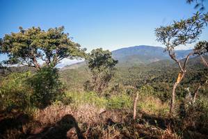 BIB: 
                            <button type="button" onclick="openModal(19110937)" class="btn btn-primary btn-sm float-right btn-popup" data-toggle="modal" data-target=".modal-high-quality">
                        <i class="fas fa-shopping-cart"></i> Add to Cart
                    </button>
                                            <button type="button" onclick="isThisMe(19110937, true)" class="btn btn-success btn-sm float-right btn-popup btn-isme hidden" data-toggle="tooltip" data-placement="bottom" title="นี่คือรูปของคุณใช่ไหม คลิกที่นี่เพื่อเอาเข้าอัลบั้ม">
                        <i class="fas fa-plus"></i> Add to album
                    </button>
                    <button type="button" onclick="isThisMe(19110937, false)" class="btn btn-warning btn-sm float-right btn-popup btn-isnotme hidden">
                        <i class="fas fa-ban"></i> Remove from album
                    </button>