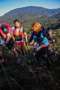 BIB: 
                            <button type="button" onclick="openModal(19085314)" class="btn btn-primary btn-sm float-right btn-popup" data-toggle="modal" data-target=".modal-high-quality">
                        <i class="fas fa-shopping-cart"></i> Add to Cart
                    </button>
                                            <button type="button" onclick="isThisMe(19085314, true)" class="btn btn-success btn-sm float-right btn-popup btn-isme hidden" data-toggle="tooltip" data-placement="bottom" title="นี่คือรูปของคุณใช่ไหม คลิกที่นี่เพื่อเอาเข้าอัลบั้ม">
                        <i class="fas fa-plus"></i> Add to album
                    </button>
                    <button type="button" onclick="isThisMe(19085314, false)" class="btn btn-warning btn-sm float-right btn-popup btn-isnotme hidden">
                        <i class="fas fa-ban"></i> Remove from album
                    </button>