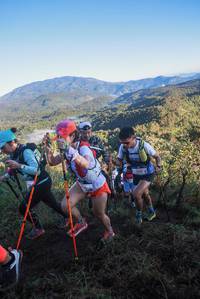 BIB: 1000
                            <button type="button" onclick="openModal(19065640)" class="btn btn-primary btn-sm float-right btn-popup" data-toggle="modal" data-target=".modal-high-quality">
                        <i class="fas fa-shopping-cart"></i> Add to Cart
                    </button>
                                            <button type="button" onclick="isThisMe(19065640, true)" class="btn btn-success btn-sm float-right btn-popup btn-isme hidden" data-toggle="tooltip" data-placement="bottom" title="นี่คือรูปของคุณใช่ไหม คลิกที่นี่เพื่อเอาเข้าอัลบั้ม">
                        <i class="fas fa-plus"></i> Add to album
                    </button>
                    <button type="button" onclick="isThisMe(19065640, false)" class="btn btn-warning btn-sm float-right btn-popup btn-isnotme hidden">
                        <i class="fas fa-ban"></i> Remove from album
                    </button>