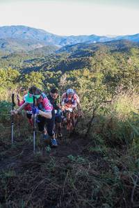 BIB: 
                            <button type="button" onclick="openModal(19072804)" class="btn btn-primary btn-sm float-right btn-popup" data-toggle="modal" data-target=".modal-high-quality">
                        <i class="fas fa-shopping-cart"></i> Add to Cart
                    </button>
                                            <button type="button" onclick="isThisMe(19072804, true)" class="btn btn-success btn-sm float-right btn-popup btn-isme hidden" data-toggle="tooltip" data-placement="bottom" title="นี่คือรูปของคุณใช่ไหม คลิกที่นี่เพื่อเอาเข้าอัลบั้ม">
                        <i class="fas fa-plus"></i> Add to album
                    </button>
                    <button type="button" onclick="isThisMe(19072804, false)" class="btn btn-warning btn-sm float-right btn-popup btn-isnotme hidden">
                        <i class="fas fa-ban"></i> Remove from album
                    </button>