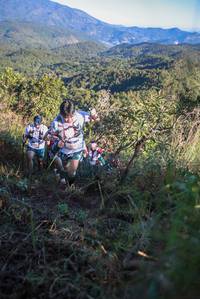 BIB: 
                            <button type="button" onclick="openModal(19086282)" class="btn btn-primary btn-sm float-right btn-popup" data-toggle="modal" data-target=".modal-high-quality">
                        <i class="fas fa-shopping-cart"></i> Add to Cart
                    </button>
                                            <button type="button" onclick="isThisMe(19086282, true)" class="btn btn-success btn-sm float-right btn-popup btn-isme hidden" data-toggle="tooltip" data-placement="bottom" title="นี่คือรูปของคุณใช่ไหม คลิกที่นี่เพื่อเอาเข้าอัลบั้ม">
                        <i class="fas fa-plus"></i> Add to album
                    </button>
                    <button type="button" onclick="isThisMe(19086282, false)" class="btn btn-warning btn-sm float-right btn-popup btn-isnotme hidden">
                        <i class="fas fa-ban"></i> Remove from album
                    </button>