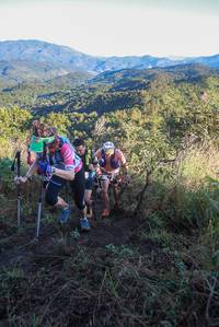 BIB: 
                            <button type="button" onclick="openModal(19072803)" class="btn btn-primary btn-sm float-right btn-popup" data-toggle="modal" data-target=".modal-high-quality">
                        <i class="fas fa-shopping-cart"></i> Add to Cart
                    </button>
                                            <button type="button" onclick="isThisMe(19072803, true)" class="btn btn-success btn-sm float-right btn-popup btn-isme hidden" data-toggle="tooltip" data-placement="bottom" title="นี่คือรูปของคุณใช่ไหม คลิกที่นี่เพื่อเอาเข้าอัลบั้ม">
                        <i class="fas fa-plus"></i> Add to album
                    </button>
                    <button type="button" onclick="isThisMe(19072803, false)" class="btn btn-warning btn-sm float-right btn-popup btn-isnotme hidden">
                        <i class="fas fa-ban"></i> Remove from album
                    </button>