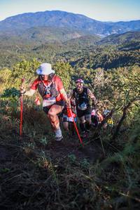 BIB: 5650
                            <button type="button" onclick="openModal(19085421)" class="btn btn-primary btn-sm float-right btn-popup" data-toggle="modal" data-target=".modal-high-quality">
                        <i class="fas fa-shopping-cart"></i> Add to Cart
                    </button>
                                            <button type="button" onclick="isThisMe(19085421, true)" class="btn btn-success btn-sm float-right btn-popup btn-isme hidden" data-toggle="tooltip" data-placement="bottom" title="นี่คือรูปของคุณใช่ไหม คลิกที่นี่เพื่อเอาเข้าอัลบั้ม">
                        <i class="fas fa-plus"></i> Add to album
                    </button>
                    <button type="button" onclick="isThisMe(19085421, false)" class="btn btn-warning btn-sm float-right btn-popup btn-isnotme hidden">
                        <i class="fas fa-ban"></i> Remove from album
                    </button>