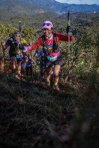 BIB: 706
                            <button type="button" onclick="openModal(19104696)" class="btn btn-primary btn-sm float-right btn-popup" data-toggle="modal" data-target=".modal-high-quality">
                        <i class="fas fa-shopping-cart"></i> Add to Cart
                    </button>
                                            <button type="button" onclick="isThisMe(19104696, true)" class="btn btn-success btn-sm float-right btn-popup btn-isme hidden" data-toggle="tooltip" data-placement="bottom" title="นี่คือรูปของคุณใช่ไหม คลิกที่นี่เพื่อเอาเข้าอัลบั้ม">
                        <i class="fas fa-plus"></i> Add to album
                    </button>
                    <button type="button" onclick="isThisMe(19104696, false)" class="btn btn-warning btn-sm float-right btn-popup btn-isnotme hidden">
                        <i class="fas fa-ban"></i> Remove from album
                    </button>