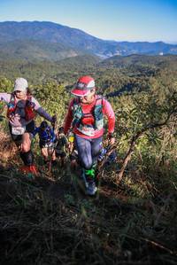 BIB: 
                            <button type="button" onclick="openModal(19106563)" class="btn btn-primary btn-sm float-right btn-popup" data-toggle="modal" data-target=".modal-high-quality">
                        <i class="fas fa-shopping-cart"></i> Add to Cart
                    </button>
                                            <button type="button" onclick="isThisMe(19106563, true)" class="btn btn-success btn-sm float-right btn-popup btn-isme hidden" data-toggle="tooltip" data-placement="bottom" title="นี่คือรูปของคุณใช่ไหม คลิกที่นี่เพื่อเอาเข้าอัลบั้ม">
                        <i class="fas fa-plus"></i> Add to album
                    </button>
                    <button type="button" onclick="isThisMe(19106563, false)" class="btn btn-warning btn-sm float-right btn-popup btn-isnotme hidden">
                        <i class="fas fa-ban"></i> Remove from album
                    </button>